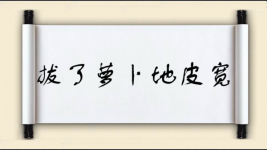 拔了萝卜地皮宽