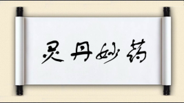 灵丹妙药对对子图片