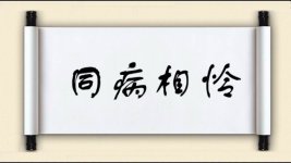 同病相怜对对子图片